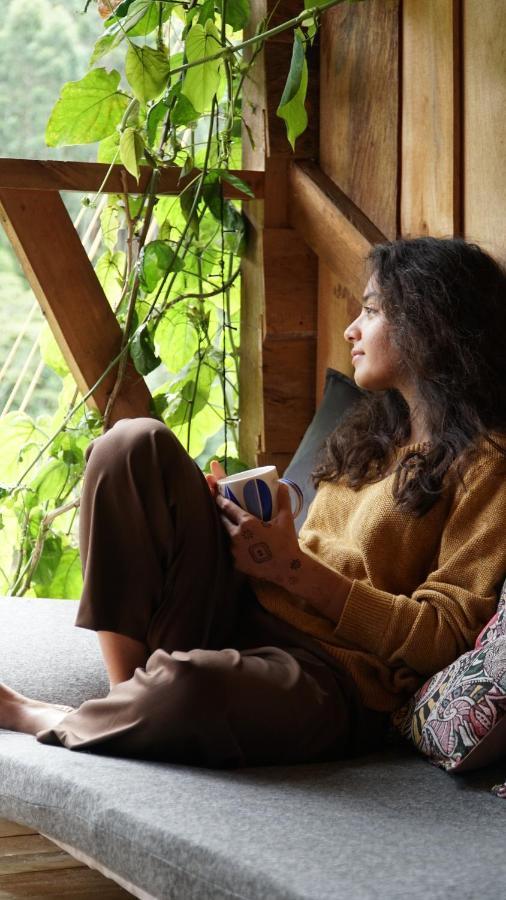 Creo Ecolodge Jardín Dış mekan fotoğraf