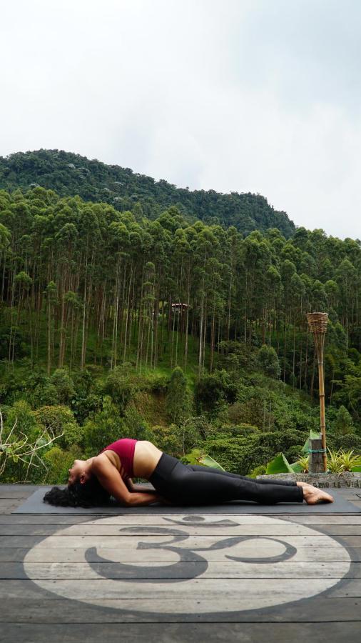 Creo Ecolodge Jardín Dış mekan fotoğraf
