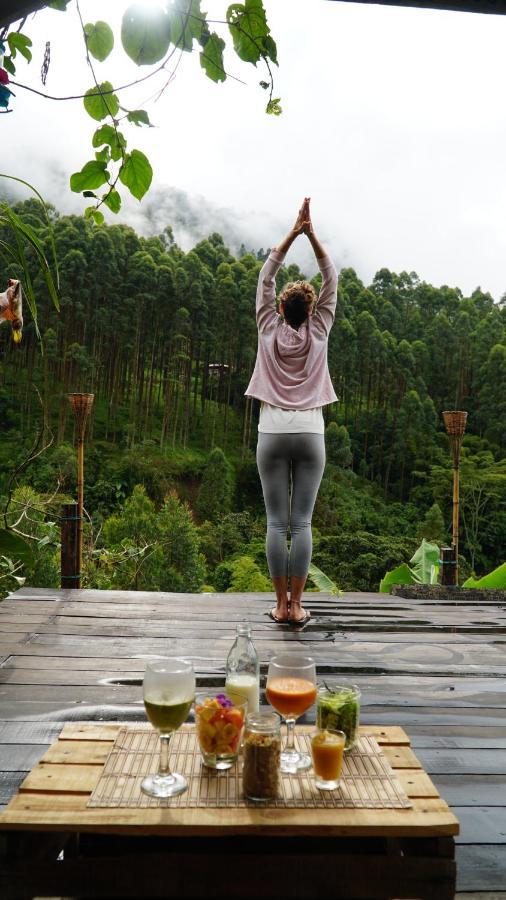 Creo Ecolodge Jardín Dış mekan fotoğraf