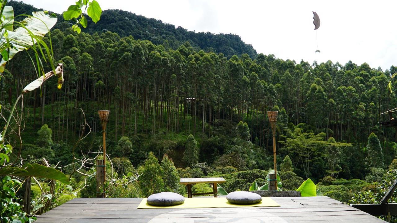 Creo Ecolodge Jardín Dış mekan fotoğraf