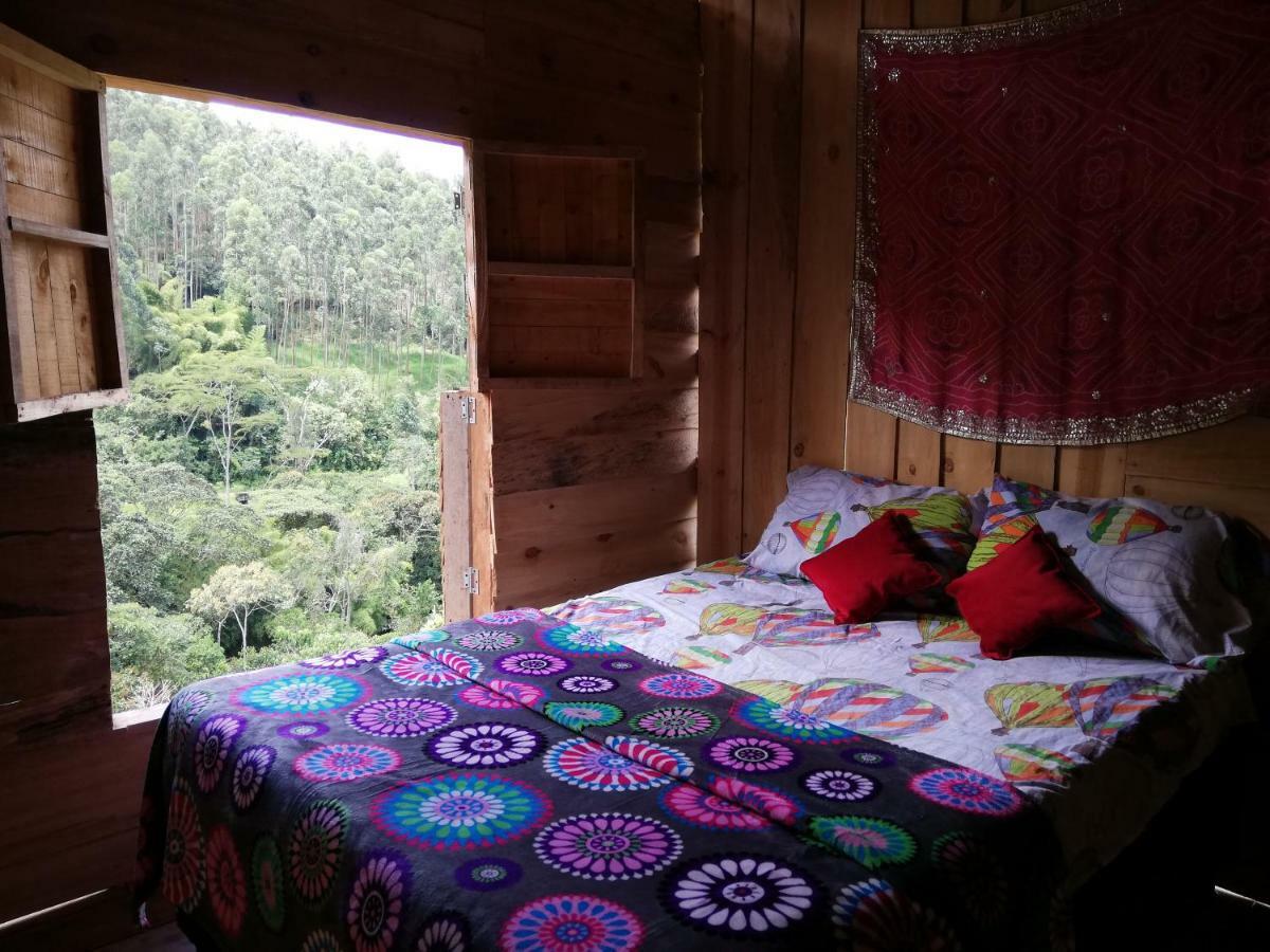 Creo Ecolodge Jardín Dış mekan fotoğraf