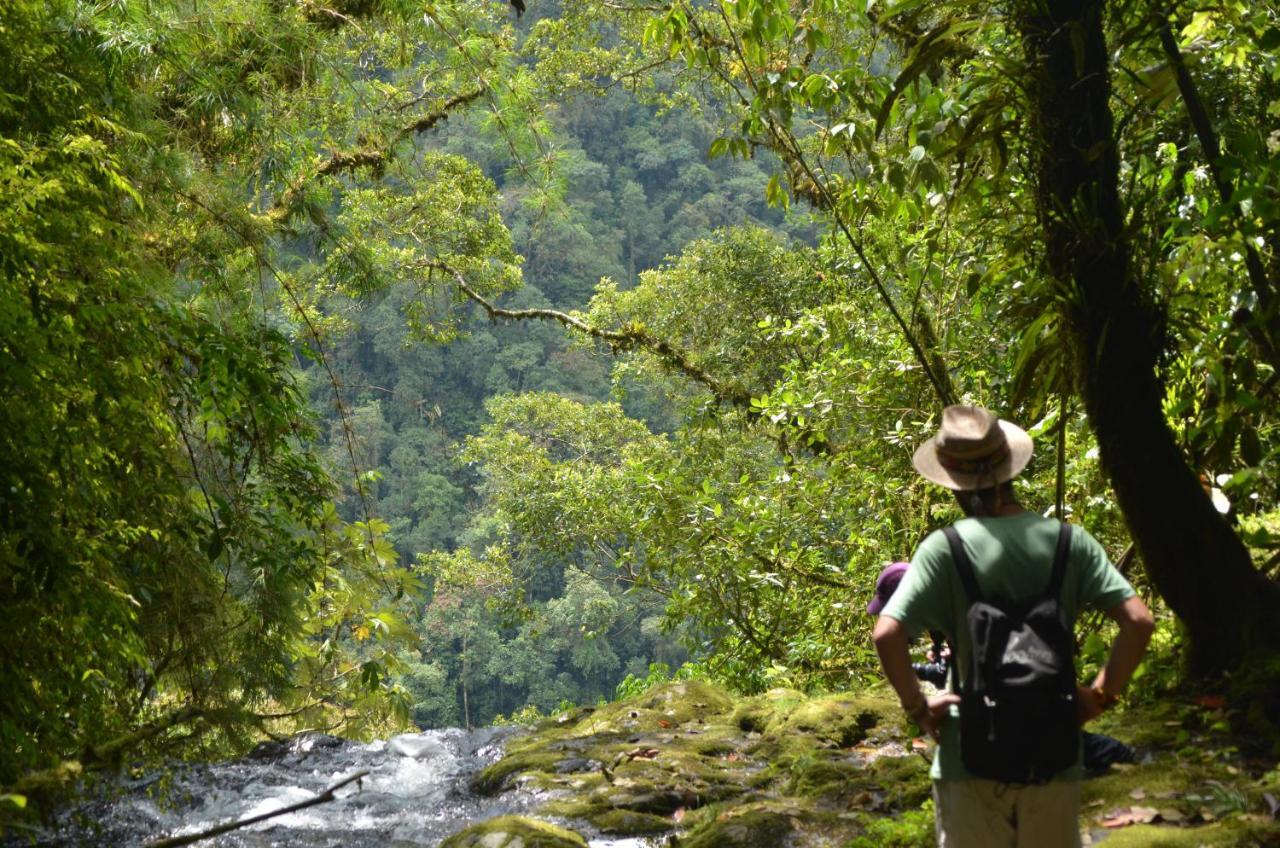 Creo Ecolodge Jardín Dış mekan fotoğraf